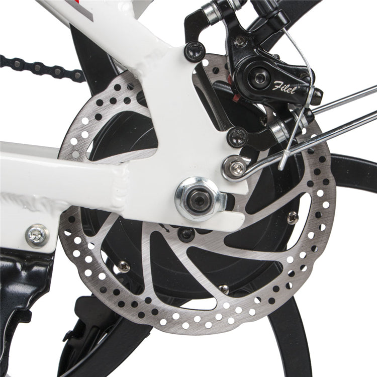 Samebike 20LVXD30